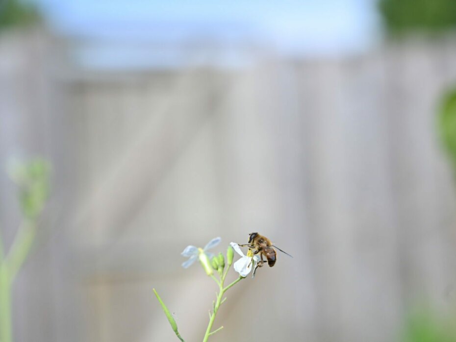 Creatieve manieren om je foto’s te gebruiken